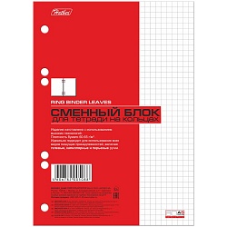 сменный блок для тетрадей на кольцах  а5  80л белый