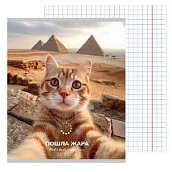 тетрадь  48л кл. "котики-туристы" обложка цветная мелованная