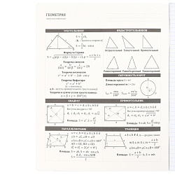 тетрадь предметная  48л кл геометрия "самоцвет" твин-лак