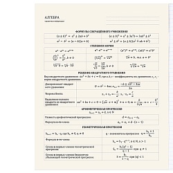 тетрадь предметная  48л кл алгебра "bad cat" 