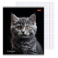 Тетрадь  36л кл. "Портретное фото кота" обложка цветная мелованная второй блок