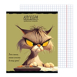 тетрадь предметная  48л кл алгебра "про хвост" 