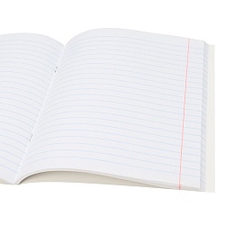 тетрадь предметная  48л лин русский язык "bad cat" 