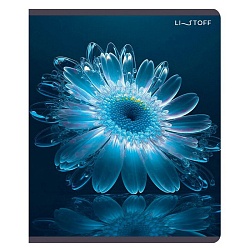 тетрадь  48л кл. "фантастические цветы" обл. мелов. картон , ламинация glitter