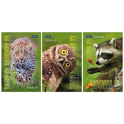 Блокнот А6  40л. "Дикий мир" на склейке