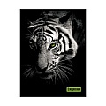 Ежедневник недатированный  А6  48л. "Тигр" обложка мел. картон