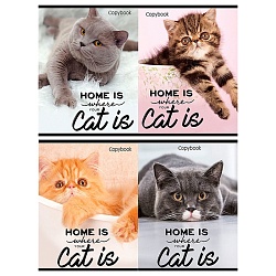 тетрадь  96л кл. "домашние коты" обложка цветная мелованная