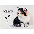 Альбом для рисования 40л. склейка "Лапки котика"