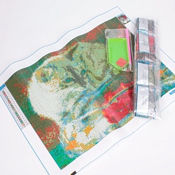 алмазная живопись  30*40см  любопытный котёнок (уценка)