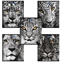 тетрадь  48л кл. "дикие и свободные" обложка картон