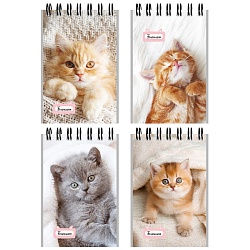 Блокнот А7  40л "Маленькие котята-1" на гребне в клетку