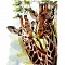 набор  для творчества "рисование по номерам" холст-30*20см  жирафы