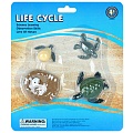 Фигурки в наборе "Life Cycle" черепаха