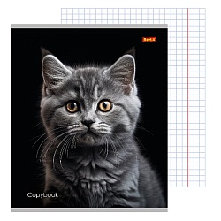 тетрадь  36л кл. "портретное фото кота" обложка цветная мелованная второй блок