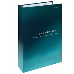 тетрадь на кольцах а4 120л  "цвет и надпись-1"