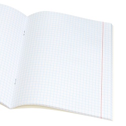 тетрадь предметная  48л кл история "bad cat" 