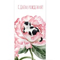 Открытка-конверт  Soft Touch "С днем рождения! Котик в цветке" 