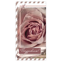 открытка-конверт "поздравляю"