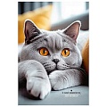 Книжка записная  А5 120л "Серый пушистый котик-2" 7БЦ