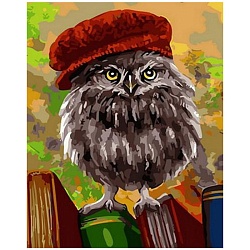 алмазная живопись 40*50см  сова в шапке