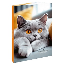 книжка записная  а5 120л "серый пушистый котик-2" 7бц