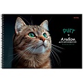Альбом для рисования 40л. на гребне "Зеленоглазый котик"