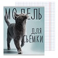 Тетрадь  96л кл. "Котики и надписи" обложка лён+серебро