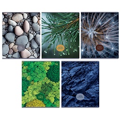 тетрадь  48л кл. "детали природы" обложка картон (эконом)