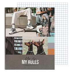 тетрадь на кольцах 120л "увлечения. my rules", глянцевая ламинация