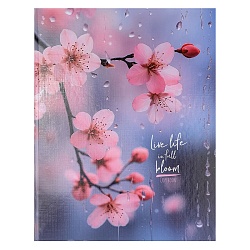 тетрадь на кольцах  80л  "нежная сакура"