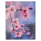 тетрадь на кольцах  80л  "нежная сакура"