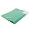 папка  40 файлов 500мкм зелёная