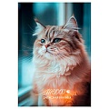 Книжка записная  А6  48л "Фото котика-1" 7БЦ  глянц.ламин.