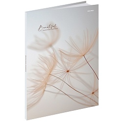 книжка записная  а4  80л "бежевый тон" 7бц, глянц.лам.