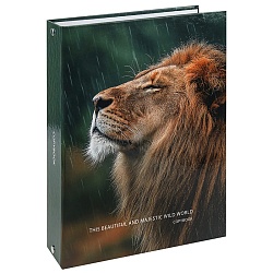 тетрадь на кольцах 100л  "лев под дождем"