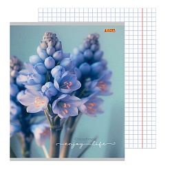 тетрадь  96л кл. "нежные цветы-15" обложка цветная мелованная