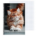 Тетрадь  А4  96л кл. на гребне "Рыжий котик-2" обложка цветная мелован.