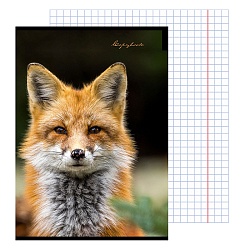 тетрадь  а4  80л кл. на скрепке "пятнистый носик"