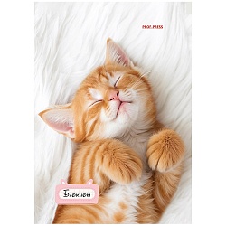 Блокнот А6  24л "Милые котята-1" ассорти,  на скрепке