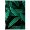 Книжка записная  А4 100л "Зелёные листья-4" 7БЦ гребень