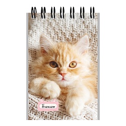 Блокнот А7  40л "Маленькие котята-1" на гребне в клетку