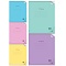 тетрадь  48л линейка "пастель"  обложка plastic cover