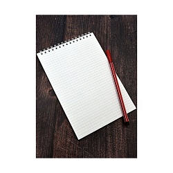 Блокнот А5  32л "Два котёнка"  на гребне