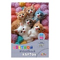 Картон цветной волшебный  А4 10л. 10цв. "Котята"