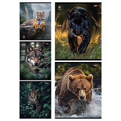 тетрадь  48л кл. "разные хищники" обложка цветная мелованная