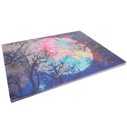 алмазная живопись  40*50см  луна