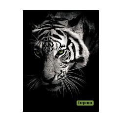 ежедневник недатированный  а6  48л. "тигр" обложка мел. картон