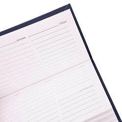 планинг карманный недатир. 64л classic.мудрый дракон обложка матовая ламинация 