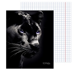 тетрадь  48л кл "чёрная пантера" обложка уф-лак