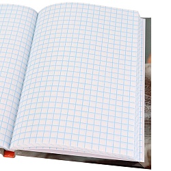 книжка записная  а6  64л "фото котика-2" 7бц, глянц.лам.